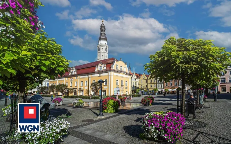 Lokal na sprzedaż Bolesławiec